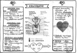 Układ krwionośny - krwiobiegi - szarość - klasa 7
