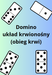 Domino układ krwionośny (obieg krwi)