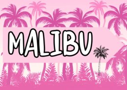 DZIEŃ DZIEWCZYNY W STYLU BARBIE - I TROCHĘ KENA