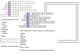 Logogryf dla klasy 2 z hasłem Portret