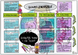 Klasa 6. Tkanki zwierzęce. Wklejka do zeszytu.