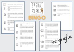 Bingo ortograficzne - pytania