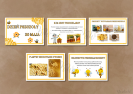 DZIEŃ PSZCZOŁY - ZESTAW