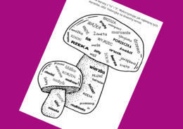 Ortograficzna CHMURA wyrazowa RZ/Ż - ortografia - karta pracy - ćwiczenia redakcyjne