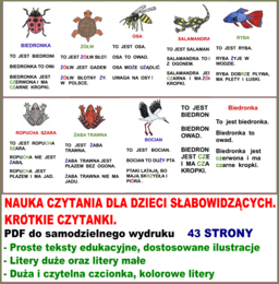 NAUKA CZYTANIA DLA DZIECI SŁABOWIDZĄCYCH. KRÓTKIE CZYTANKI.