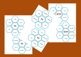ORTOGRAFIA - heksy - fiszki - wyrazy z "CH" i "H".