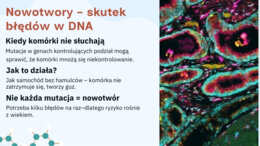 Mutacje - Jak zmiany w DNA wpływają na życie