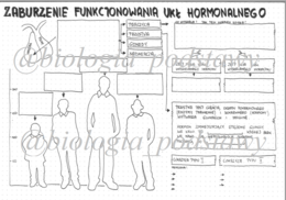 klasa 7 - Zaburzenia funkcjonowania układu hormonalnego - kp