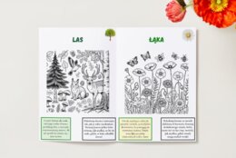 Kolorowanki tematyczne. Zwierzęta. Rośliny. Ekosystemy