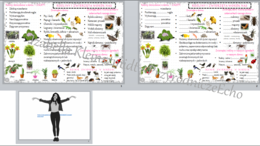 Mini zestaw do tematu „Rośliny i zwierzęta wokół nas” - sketchnotka + karta pracy w pdf oraz link do prezentacji multimedialnej niekomercyjnej wykonanej w genial.ly do indywidualnego pobrania i użycia do celów niekomercyjnych. Przyroda klasa 4, dział III