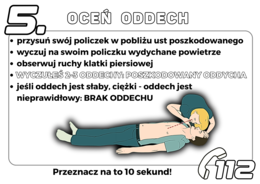 PIERWSZA POMOC + test wiedzy wersja Czarno/Biała