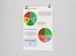 Infografika. Cykle przyrodnicze. Łańcuch pokarmowy. Recykling.