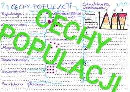 Cechy populacji
