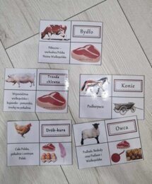 Produkcja zwierzęca w Polsce/do zalaminowana/układanka/puzzle/rozmieszczenie chowu w Polsce/rozpoznawanie gatunków w pdf. „Produkcja zwierzęca”. Geografia 7 "Rolnictwo i przemysł Polski"