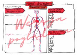 Układ krwionośny transportuje krew kl. 4