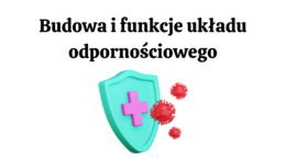 Budowa i funkcje układu odpornościowego 3 KLASA ROZSZERZENIE BIOLOGIA