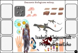 Notatka okienkowa/stacja zadaniowe/notatka/notatka graficzna/karta pracy/sketchnotka „Podziały komórkowe”, „Mitoza i mejoza”, „Znaczenie biologiczne mitozy i mejozy” w pdf. Biologia 8 dział „Genetyka”. Materiał wykonany na podstawie podręcznika z wydawni