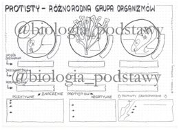 Klasa 5 - Protisty - karta pracy