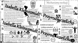 Sketchnotka - notatka „Mechanizmy ewolucji” wykonana w power point do edycji. Biologia 8; „Ewolucja życia”