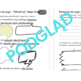 Juliusz Słowacki - Testament mój