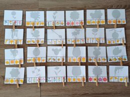 DZIEŃ PSZCZOŁY - ZESTAW