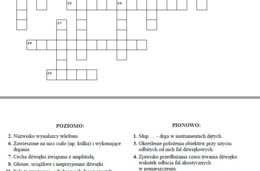 Drgania i fale - krzyżówka podsumowująca wiadomości.
