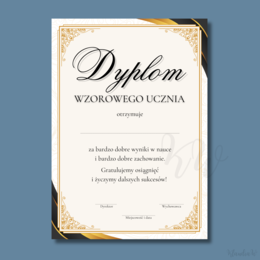 Dyplomy Wzorowego Ucznia - zestaw