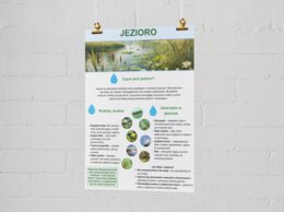 Plakaty o ekosystemach. Las, łąka, jezioro, morze, góry.