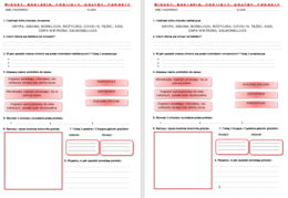 WIRUSY BAKTERIE PROTISTY GRZYBY POROSTY - sprawdzian