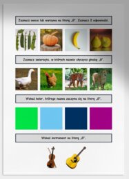 G i g. Karta pracy. Sprawdzian