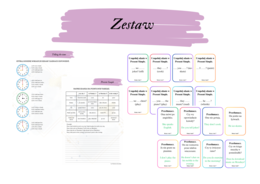 Brainy 4 unit 7 zestaw