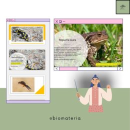 Przegląd i znaczenie płazów - gra zgadnij kto to Z ODGŁOSAMI