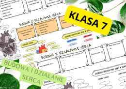 Biologia 7. Budowa i działanie serca