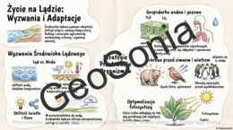 Warunki życia na lądzie przyroda klasa 4 sketchnotka
