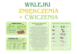 Wklejki - zmiękczenia + ćwiczenia