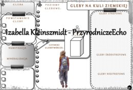 Karta pracy „Gleby na kuli ziemskiej” wykonana w power point do edycji. Oblicza geografii I, poziom podstawowy, dla liceum ogólnokształcącego i technikum. Geografia I. Dział „Gleby Ziemi”