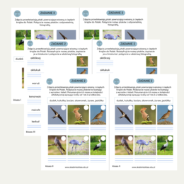 WIOSENNE STACJE ZADANIOWE dla klas 1-3