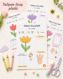 Tulipan liczy płatki