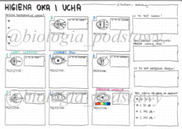 Klasa 7 - Higiena oka i ucha - sketchnotka