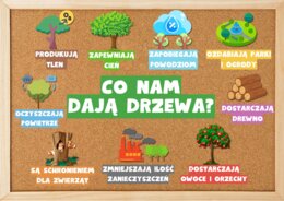 🌳 GAZETKA - CO NAM DAJĄ DRZEWA? 🌳 DZIEŃ DRZEWA 🌳