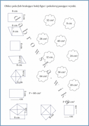 Pole prostokąta, kwadratu, równoległoboku i rombu - karta pracy