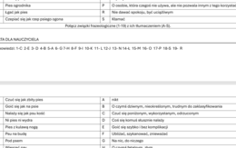 PIES w związkach frazeologicznych