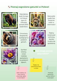 Infografiki. Zagrożone zwierzęta i rośliny. Segregacja odpadów. Oszczędzanie zasobów naturalnych.
