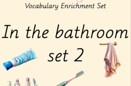 Zestaw kart obrazkowych: IN THE BATHROOM SET 2