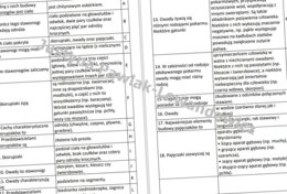 Stawonogi i mięczaki (rozsypanka)