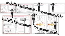 Kompletny zestaw na jedną lekcję „Układ nerwowy kontroluje pracę organizmu” – sketchnotka + karty pracy w power point + gratisowy link do prezentacji multimedialnej niekomercyjnej + gratisowy link do lekcji multimedialnej niekomercyjnej również wykonanej