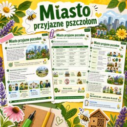 Miasto przyjazne pszczołom
