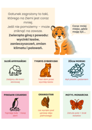 Plakaty edukacyjne. Gatunki zagrożone. Co to ekologia? Jak dbać o środowisko?