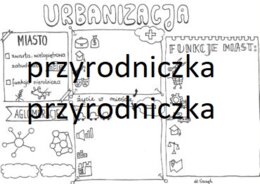Klasa 7. Geografia. Karta pracy - urbanizacja