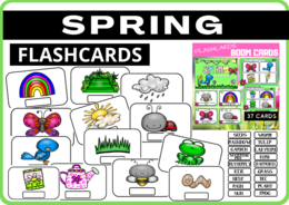 SPRING - FLASHCARDS